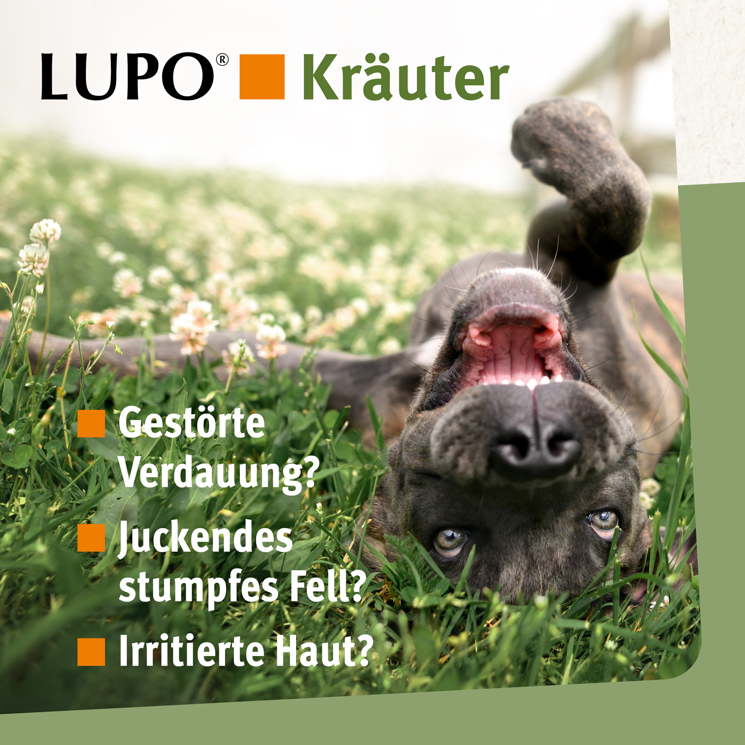 LUPO Kräuter Pellets 180 g